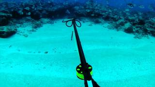 Deep Blue Hawaii Spearfishing - Episode 01