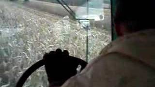 Picking Corn Part 1