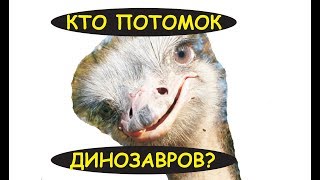КТО ПОТОМОК ДИНОЗАВРОВ?