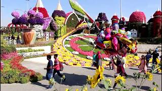 Парк цветов в Дубае Миракл Гарден  Dubai Miracle Garden