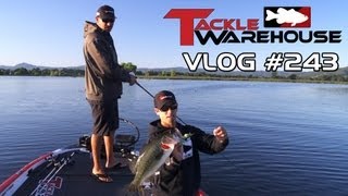 Fishing Clear Lake with Jared Lintner & Michael "Ike" Iaconelli Part 1 - Tackle Warehouse VLOG #243