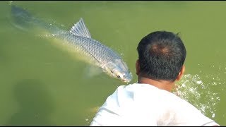 14 KG Grass Carp Fishing Videos By Fish Watching