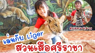วิ่งหนีเสือ I เล่นกับLiger I จับแมงป่อง สวนเสือศรีราชาต้องมาสุดเหวี่ยง