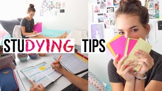 Studying Tips for This School Year! | Reese Regan