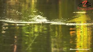 Ish Monroe with River2Sea Whopper Plopper 130