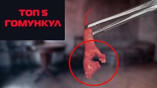 5 ГОМУНКУЛ ПОКОРИВШИХ ЮТУБ