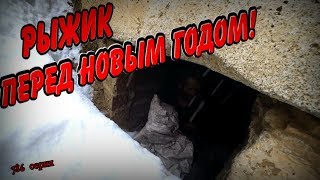 НАВЕСТИЛ БЕЗДОМНЫХ ПЕРЕД НОВЫМ ГОДОМ / 386 серия (18+)