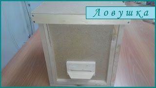 Как Завести Пчёл С Наименьшими Затратами? Изготовление Ловушки Часть 2.