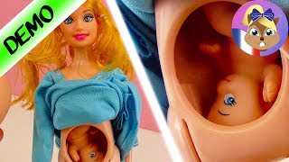 Poupée enceinte avec bébé dans le ventre | Démo poupée Barbie | Joue avec moi - Jeux pour enfants