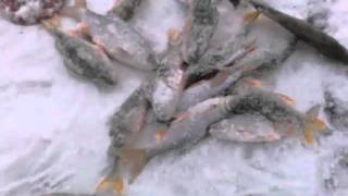 ☝▶ Ужас!!! Рыбалка на озере щучьем Кенжеколь, Павлодарская область, Казахстан