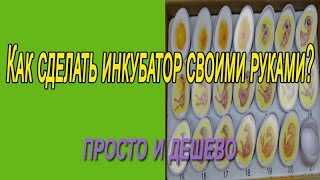 Как сделать инкубатор своими руками. Простой и дешевый.