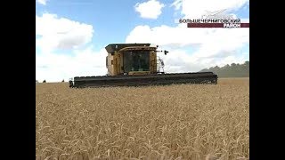 На юге Самарской области началась уборка урожая