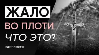 ЖАЛО ВО ПЛОТИ - ЧТО ЭТО? | Виктор Томев
