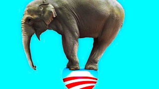RABID Obamacare Opponent Matt Lewis Researches ACA for One More Article, COMPLETELY Changes His Mind