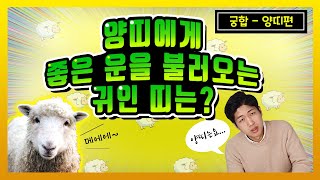 양띠에게 행운을 불러오는 띠는? Feat 양띠 띠궁합