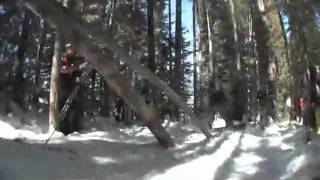 Log Masters