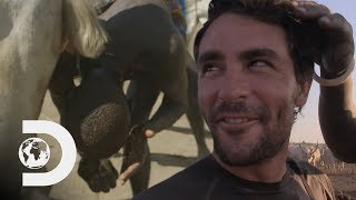 Mundari Tribe Use Cow Urine To Dye Levison Wood's Hair | Levison Wood Walking The Nile