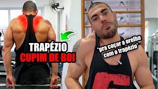 Treino de trapezio *cupim de boi* ?