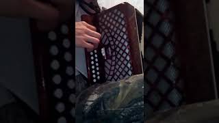 На гармони "Казачья Игоря Растеряева"