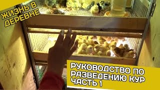 РУКОВОДСТВО? ПО РАЗВЕДЕНИЮ КУР? ЧАСТЬ 1