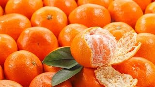 thuốc quý cây cỏ trái quýt