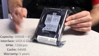 WD Drives Explained - WD Blue, Green, Black, Red and Purple!