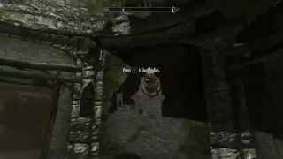 skyrim reshade shadow bug