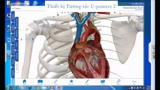 Giảng dạy Sinh học - Y Dược với thiết bị tương tác thông minh U-pointer 2