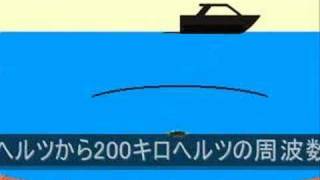 魚探とボート釣り　～動画で学ぶ！魚探/魚群探知機講座01