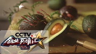 《创业英雄汇》小小油茶果 浑身都是宝 20190614 | CCTV财经