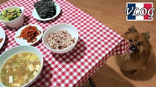 아시안 마트, 한국에서 온 택배(과자부자), 집밥만들기 │ Vlog de Simba #97