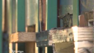 Tretiranje pcela protiv varoe U nasem ataru 559