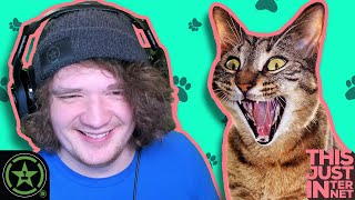 We Love Pet Memes - This Just Internet