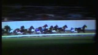 1977 Interdominions - Pacers' Final, Albion Park, Brisbane: Stanley Rio
