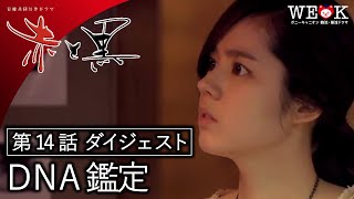 【公式】「赤と黒」第14話「DNA鑑定」ダイジェスト