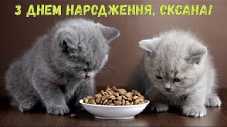 З Днем народження, Оксана! (Котики)