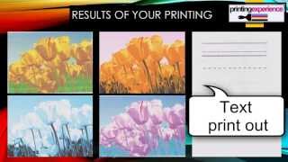 Poor quality of your Canon printer. missing colour, reinstall, reset, clean print-head printer head