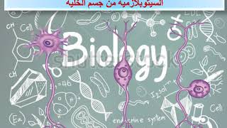 انواع الخلايا العصبيه / تركيب الجهاز العصبى