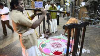 Ritual procession in Sri Meenakshi Temple (Madurai)