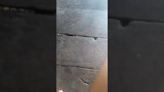 Cách làm slime bằng kem đánh răng
