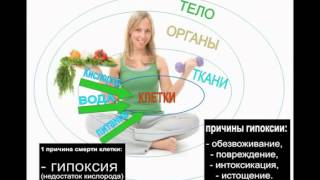 Концепция здоровья Коралловый клуб Системные знания