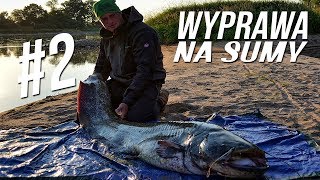 Zasiadka sumowa pod mostem - czyli sum z opaski / WYPRAWA NA SUMY #2