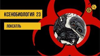 Локсатль. Warhammer 40000: Ксенобиология #23
