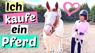 Ich kaufe ein PFERD ? mein eigenes Pony ❤️ | ViktoriaSarina