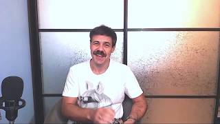 Песня "Последняя поэма" из к/ф "Вам и не снилось" на губной гармошке