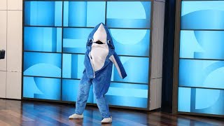 Ellen and Portia Encountered Shark While Paddle Boarding