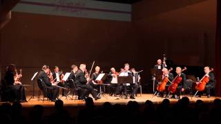 JS Bach Keyboard Concerto No. 1 in D minor, BWV1052