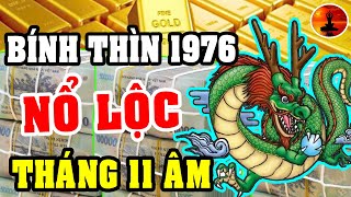 Tuổi BÍNH THÌN 1976 THÁNG 11 Âm Lịch TIỀN Nhiều Ngập Mặt, GIÀU HƠN TỶ PHÚ, Sống Trong Nhung Lụa