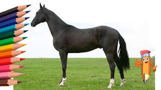 Как нарисовать коня/лошадь #draw How to draw a horse
