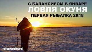 Зимняя рыбалка с балансиром. Ловля окуня в январе. Видео отчёт от 5 января 2018.